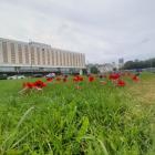 Fotka nr 3 z 5
