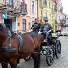 zdjęcie nr 125