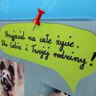 zdjęcie nr 31