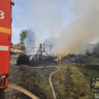 Fotka nr 3 z 11