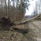 zdjęcie nr 30