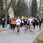 zdjęcie nr 14