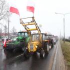 zdjęcie nr 24