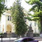zdjęcie nr 7