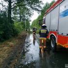 Fotka nr 2 z 13