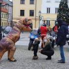 zdjęcie nr 13