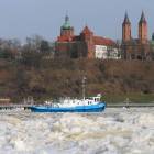 zdjęcie nr 12