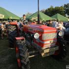zdjęcie nr 22