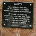 zdjęcie nr 48