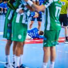 zdjęcie nr 19