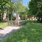 zdjęcie nr 10
