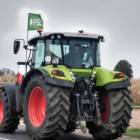 zdjęcie nr 10