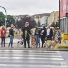 zdjęcie nr 16