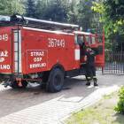 Fotka nr 2 z 31