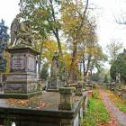 zdjęcie nr 8