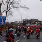zdjęcie nr 49