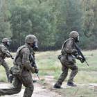 Fotka nr 4 z 13