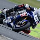 Fotka nr 2 z 10