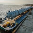 Fotka nr 5 z 13