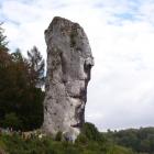 zdjęcie nr 7