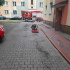 zdjęcie nr 48