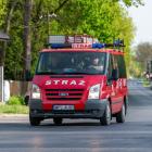 Fotka nr 5 z 72