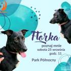 Fotka nr 0 z 5