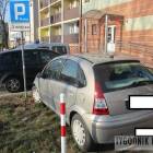 zdjęcie nr 25
