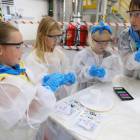 zdjęcie nr 45
