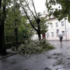zdjęcie nr 20