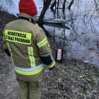 zdjęcie nr 8