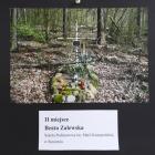 zdjęcie nr 7
