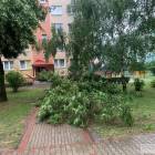zdjęcie nr 22