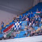 zdjęcie nr 12