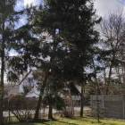 zdjęcie nr 13
