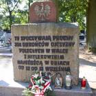 zdjęcie nr 37