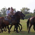 zdjęcie nr 39