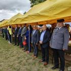 zdjęcie nr 14