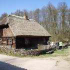 zdjęcie nr 19