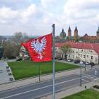 zdjęcie nr 33