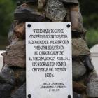 zdjęcie nr 37