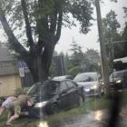 zdjęcie nr 16
