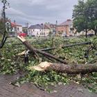 zdjęcie nr 13