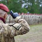 Fotka nr 5 z 12