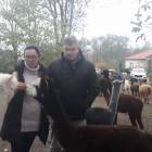 zdjęcie nr 7