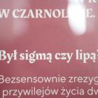 zdjęcie nr 24