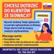 zdjęcie nr 