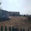 zdjęcie nr 