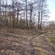 zdjęcie nr 