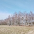 zdjęcie nr 